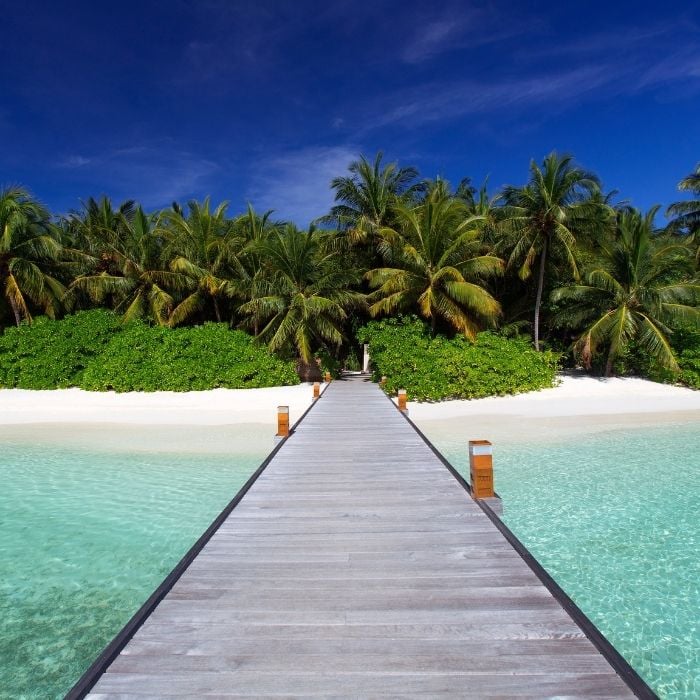 Wooden Deck with Lush Environment in Maldives 